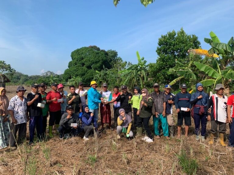 Dinas Ketahanan Pangan Dan Pertanian Kabupaten Kotabaru Provinsi