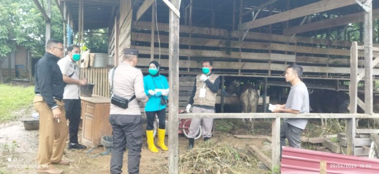 KEGIATAN PEMERIKSAAN HEWAN QURBAN POSMORTEM ANTEMORTEM DI KABUPATEN KOTABARU TAHUN 2023