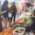 PENGAWASAN KEAMANAN PANGAN SEGAR ASAL TUMBUHAN (PSAT) DI PASAR KEMAKMURAN KABUPATEN KOTABARU