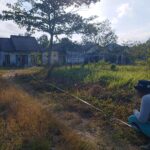 Pengukuran dan Pembuatan Surat Keterangan Tanah Hibah Kantor Balai Penyuluhan Pertanian (BPP) dan Kebun Entres Desa Tamiang Bakung Kecamatan Kelumpang Tengah