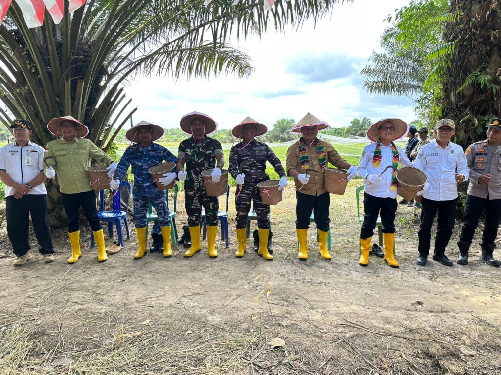 Sinergi Dinas Ketahanan Pangan dan Pertanian Membangun Ketahanan Pangan Melalui Panen Padi Kelompok Tani Maju Makmur Desa Pembelacanan Kecamatan Kelumpang Selatan untuk Peningkatan Mutu Intensifikasi Pertanian di Kabupaten Kotabaru 2 Sinergi Dinas Ketahanan Pangan dan Pertanian Membangun Ketahanan Pangan Melalui Panen Padi Kelompok Tani Maju Makmur Desa Pembelacanan Kecamatan Kelumpang Selatan untuk Peningkatan Mutu Intensifikasi Pertanian di Kabupaten Kotabaru