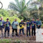 Dinas Ketahanan Pangan dan Pertanian bidang Perkebunan melakukan Kegiatan Verifikasi usulan Peremajaan Kelapa Sawit (PSR), Sarpras Dana Badan Pengelola Dana Perkebunan Kelapa Sawit (BPDPKS) di desa Banua Lawas Kecamatan Kelumpang Hulu.