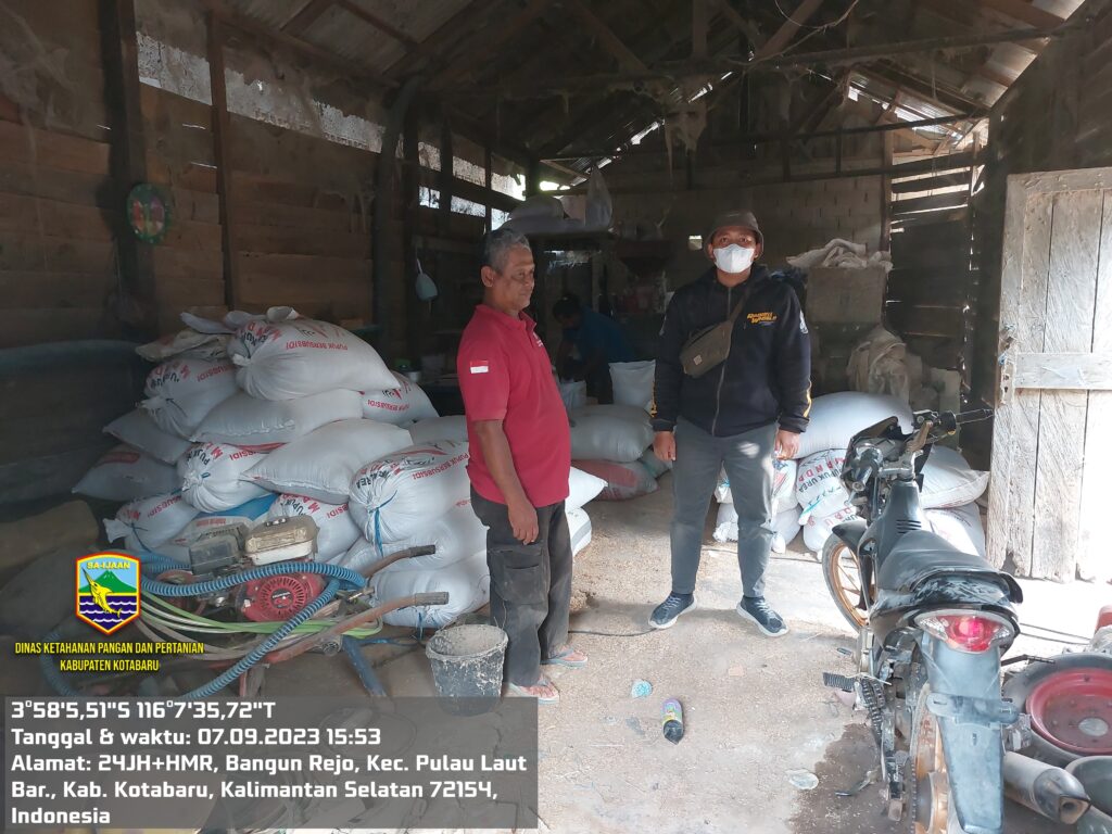 Pembinaan Lumbung Pangan dan Pemantauan Harga GKP di Lumbung Pangan Lestari Pulaulaut Barat dan Lumbung Sipattongaang Pulaulaut Kepulauan oleh Dinas Ketahanan Pangan dan Pertanian 3 Pembinaan Lumbung Pangan dan Pemantauan Harga GKP di Lumbung Pangan Lestari Pulaulaut Barat dan Lumbung Sipattongaang Pulaulaut Kepulauan oleh Dinas Ketahanan Pangan dan Pertanian