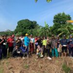 Kegiatan Gerakan Pengendalian (Gerdal) Organisme Pengganggu Tanaman (OPT) Tikus Pra tanam