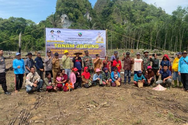 Acara Tanam Jagung Kegiatan Bantuan Benih dan Saprodi Jagung di Kolpok Tani Suka Maju Desa Lalapin seluas 5 hektar
