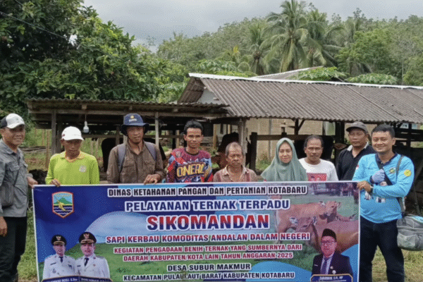 Pelayanan DKPP Kotabaru Ternak Terpadu Sikomandan di Desa Subur Makmur Kec. Pulaulaut Barat Pelayanan Ternak Terpadu Sikomandan di desa Subur Makmur Kec. Pulaulaut Barat
