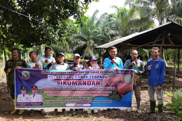 Pelayanan Ternak Terpadu SIKOMANDAN di desa Bangun Rejo Kec. Pulaulaut Tanjung Selayar