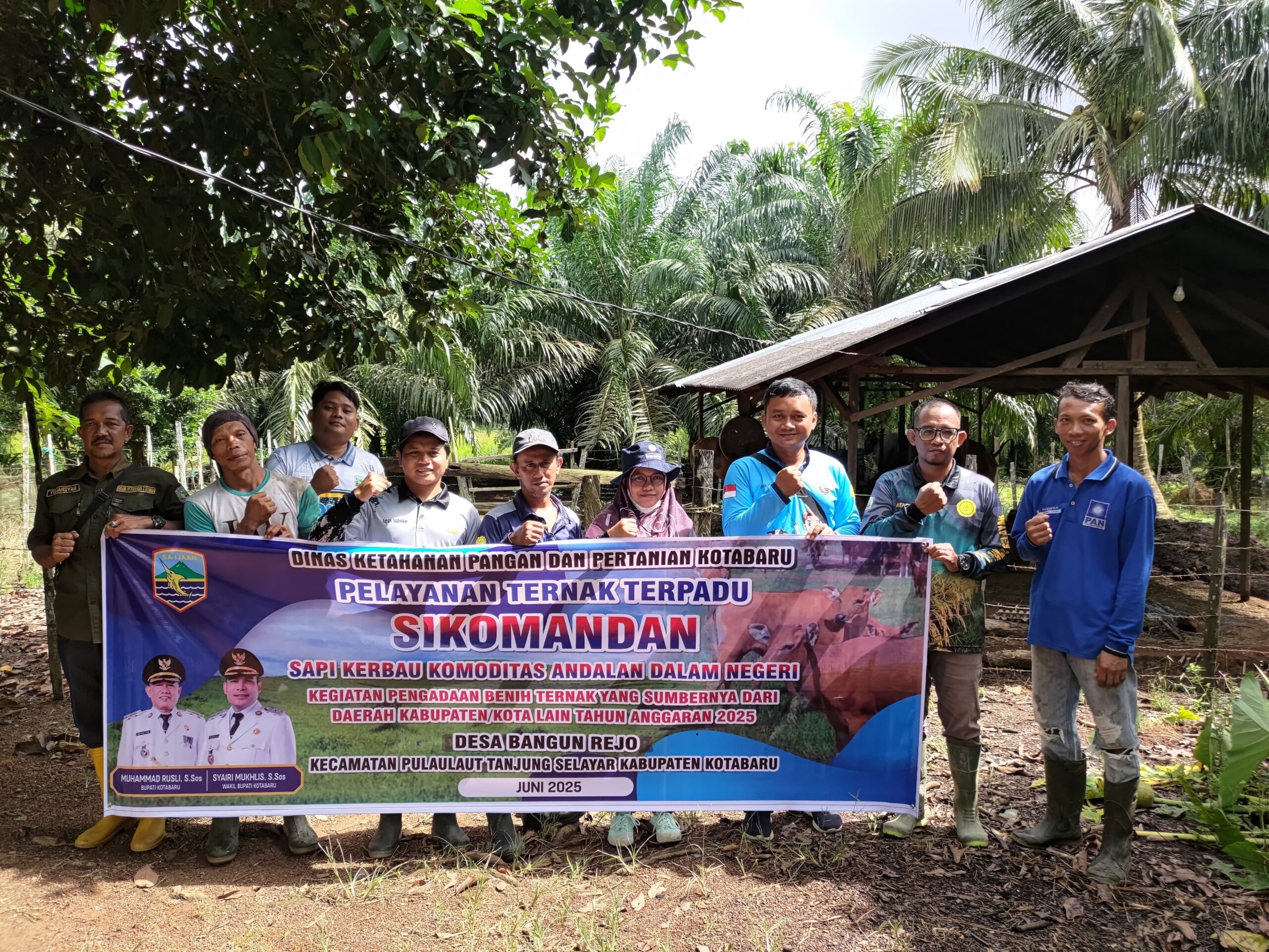Pelayanan Ternak Terpadu SIKOMANDAN di desa Bangun Rejo Kec. Pulaulaut Tanjung Selayar