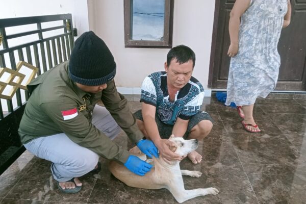 Sosialisasi Pencegahan Dan Penanggulangan Penyakit Rabies di Aula Balai Desa Manunggul Baru Kec. Sungai Durian