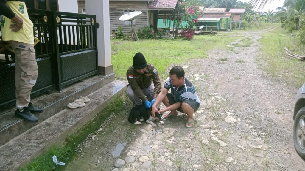 Sosialisasi DKPP Kotabaru Pencegahan Dan Penanggulangan Penyakit Rabies di Aula Balai Desa Manunggul Baru 2 Sosialisasi DKPP Kotabaru Pencegahan Dan Penanggulangan Penyakit Rabies di Aula Balai Desa Manunggul Baru
